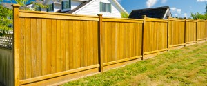 Garden fencing around a home on a sunny day